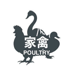 Poultry chinese 4ae25de0a060752fd4647d82d877ed2660bd752a7f9b28f0e58e6e346e237899