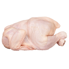 公雞